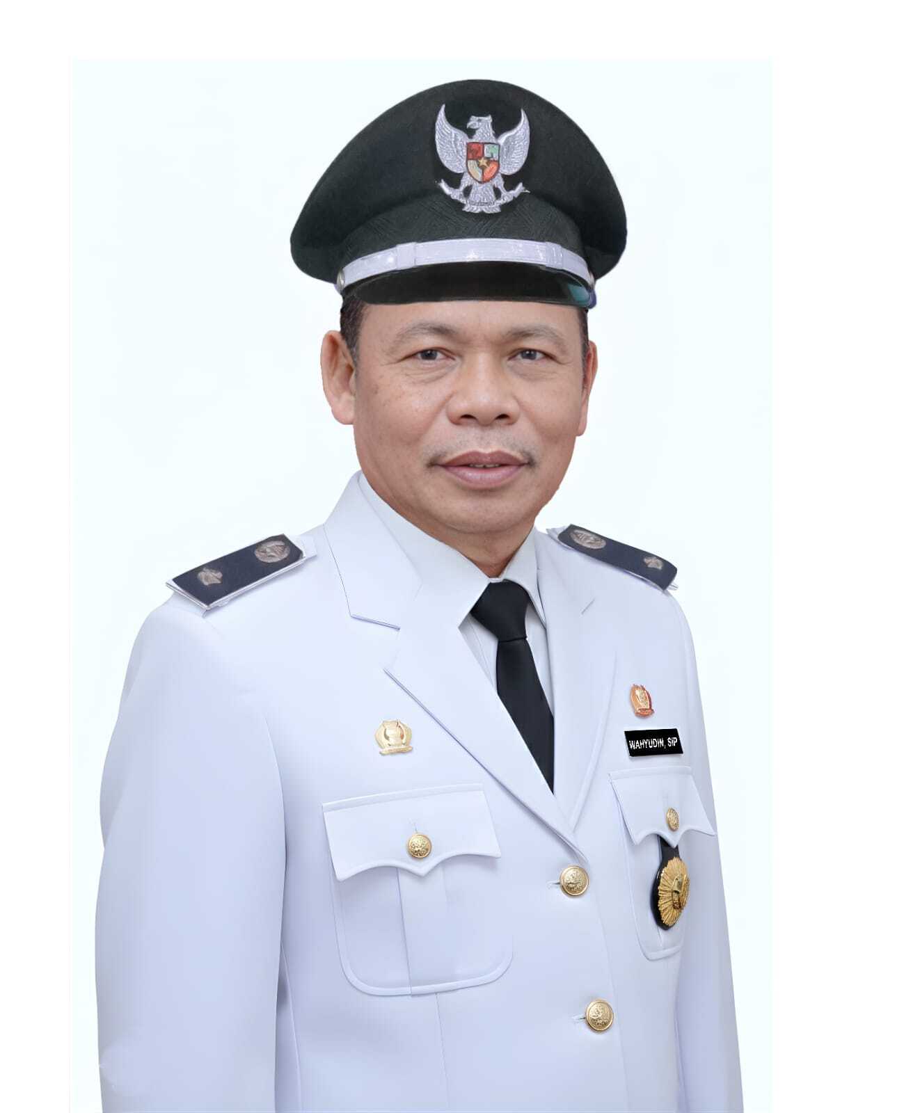 Kepala Desa
